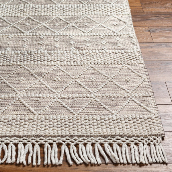 Livabliss Fleur Hand Woven Artisan Area Rug with Fringe Global Bohemian Style for Any Room White, Dark Bro 5' x 7'6" FLE2306-576