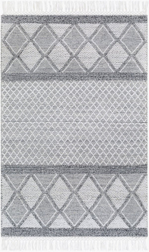 Livabliss Fleur Artisan Hand Woven Accent Rug with Fringe in Recycled Pet Yarn for Entryways White, Black 27" x 45" FLE2307-2339