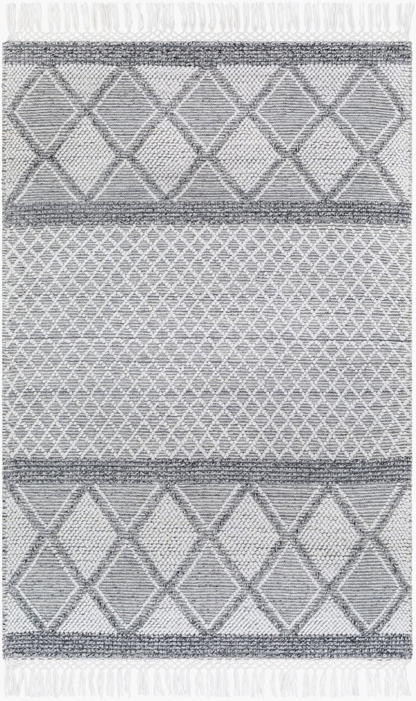 Livabliss Fleur Artisan Hand Woven Accent Rug with Fringe in Recycled Pet Yarn for Entryways White, Black 27" x 45" FLE2307-2339