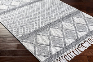 Livabliss Fleur Artisan Hand Woven Accent Rug with Fringe in Recycled Pet Yarn for Entryways White, Black 27" x 45" FLE2307-2339