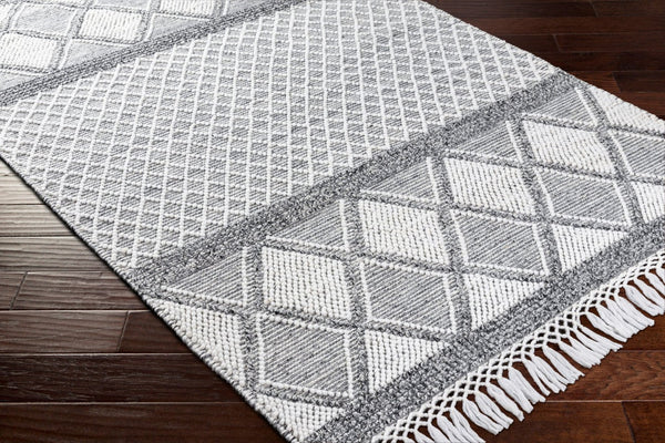 Livabliss Fleur Artisan Hand Woven Accent Rug with Fringe in Recycled Pet Yarn for Entryways White, Black 27" x 45" FLE2307-2339