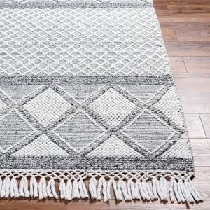 Livabliss Fleur Artisan Hand Woven Accent Rug with Fringe in Recycled Pet Yarn for Entryways White, Black 27" x 45" FLE2307-2339