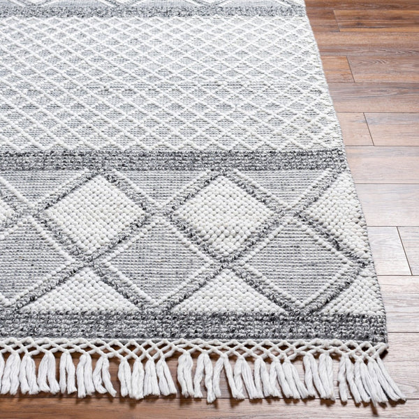 Livabliss Fleur Artisan Hand Woven Accent Rug with Fringe in Recycled Pet Yarn for Entryways White, Black 27" x 45" FLE2307-2339