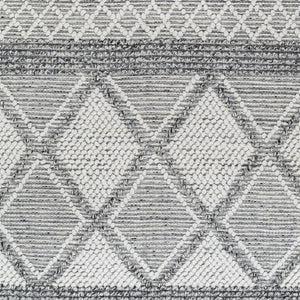Livabliss Fleur Artisan Hand Woven Accent Rug with Fringe in Recycled Pet Yarn for Entryways White, Black 27" x 45" FLE2307-2339