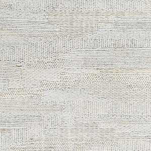 Surya Floria Fli-2300 2' X 3' Handwoven Area Rug - Eco-friendly Recycled Pet For Modern Living Spaces Cream Recycled Pet Yarn Fli2300-268