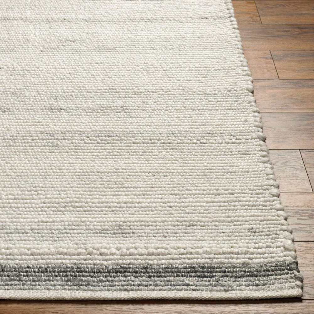 Surya Florentina Handwoven Flatweave Area Rug Recycled Pet Yarn Eco Artisan Living Room 8' x 10' Rectangle FLT2302-810
