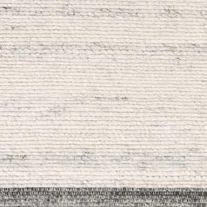 Surya Florentina Handwoven Flatweave Area Rug Recycled Pet Yarn Eco Artisan Living Room 8' x 10' Rectangle FLT2302-810