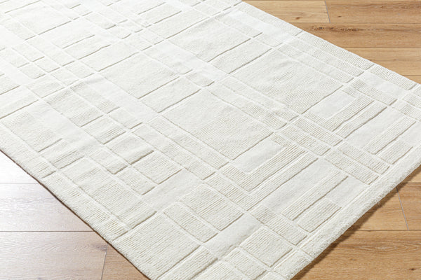 Luxuries FLW-2300 9' x 12' Handmade Rug FLW2300-912  Light Silver Surya