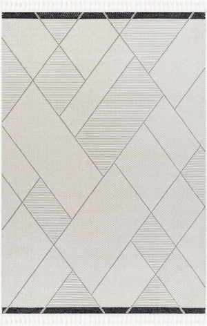 Livabliss Finland Machine Woven Polyester Area Rug Low Pile Modern Pattern for Living Rooms FND2303-9212