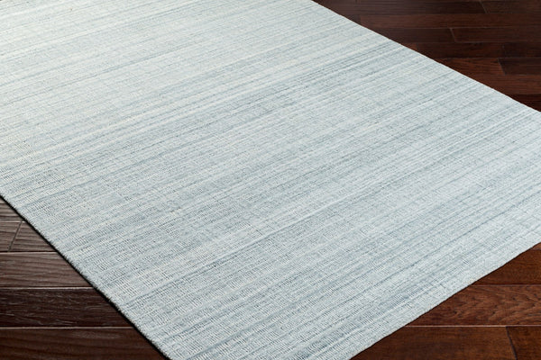 Surya Fresno Handmade Rug - 2' X 3' Eco-friendly Cottage Chic Design For Cozy Farmhouse Living Pale Blue Recycled Pet Yarn Fno2304-268