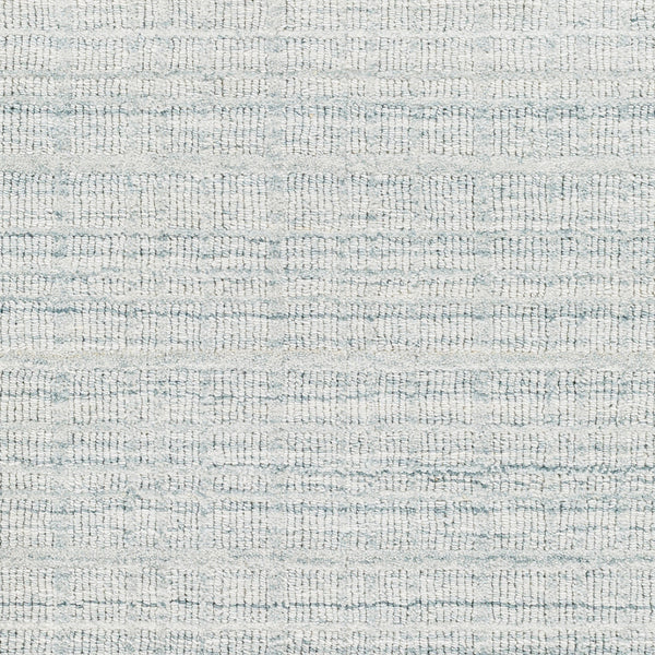 Fresno FNO-2304 9' x 12' Handmade Rug FNO2304-912  Pale Blue Surya
