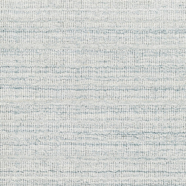 Surya Fresno Handmade Rug - 2' X 3' Eco-friendly Cottage Chic Design For Cozy Farmhouse Living Pale Blue Recycled Pet Yarn Fno2304-268
