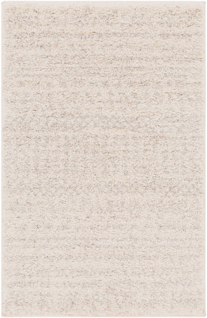 Fowler FOW-1005 2' x 2'11" Machine Woven Rug FOW1005-23 Livabliss Surya