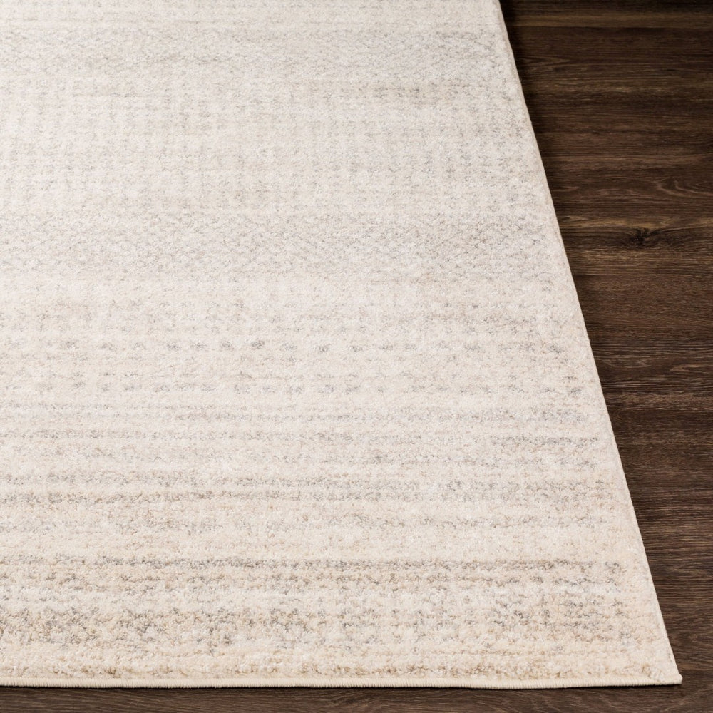 Livabliss Fowler Polypropylene Indoor Rug Scandinavian Modern Plush Pile for Entryways and Small Spaces Light Gray, Lig 2' x 2'11" FOW1005-23