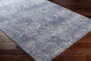 Livabliss Florence Traditional Area Rug Machine Woven Polyester Blend for Formal Living Rooms FRO2300-9124