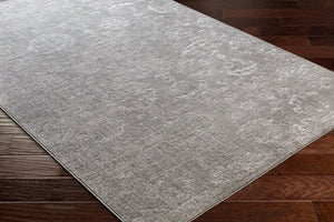 Livabliss Florence Classic Pattern Area Rug Polypropylene Blend Machine Woven Turkey Living Room FRO2302-9124