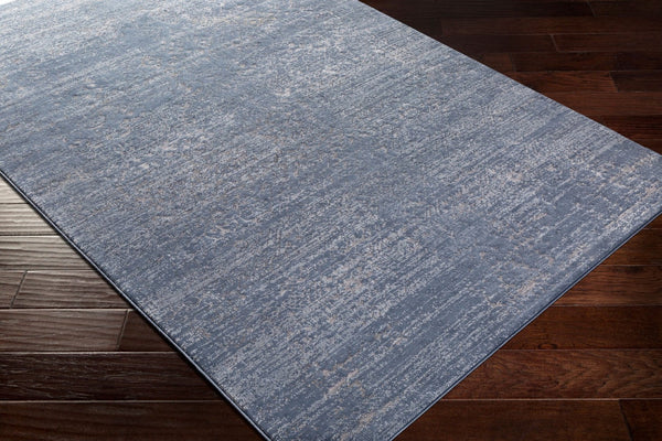Livabliss Florence Collection Machine Woven Polypropylene Accent Rug for Entryways and Kitchens Denim, Light Gr 2'7" x 7'3" FRO2309-2773