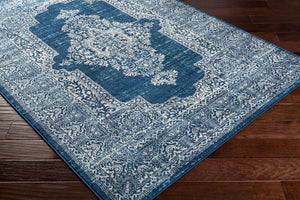 Livabliss Floransa Traditional Neutral Polypropylene Area Rug for Living Room or Dining Space FSA2306-9123