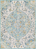 Floransa FSA-2324 6'7" x 9' Machine Woven Rug FSA2324-679 Livabliss Surya