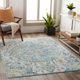 Floransa FSA-2324 7'10" x 10' Machine Woven Rug FSA2324-71010 Livabliss Surya