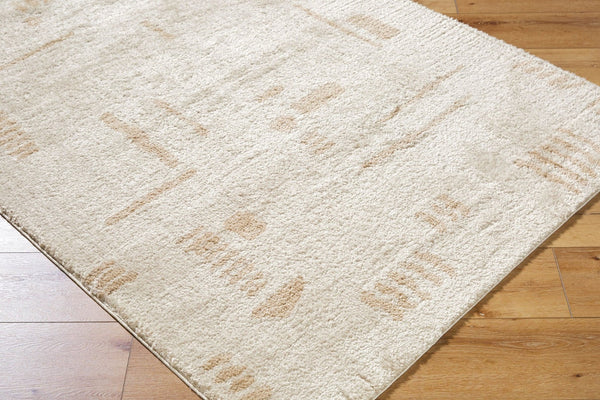 Livabliss Fossay High Pile Polyester Shag Rug Turkish Woven Plush Accent for Modern Interiors Light Beige, Be 2' x 2'11" FSG2301-2211