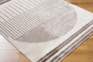 Livabliss Fossay Shag Polyester Area Rug Bohemian High Pile Plush Turkish Woven Accent Light Beige, Da 2'7" x 7'3" FSG2305-2773