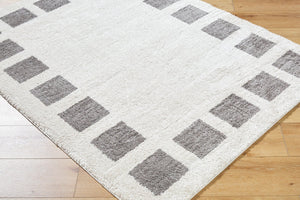 Livabliss Fossay Art Deco High Pile Shag Rug Turkish Woven Polyester for Bedroom or Reading Nook Light Beige, Ch 7'10" x 10' FSG2316-71010