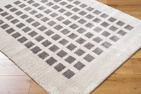 Livabliss Fossay Art Deco Shag Rug Plush Polyester High Pile Accent for Entryway Floors Light Beige, Ch 2'7" x 7'3" FSG2321-2773