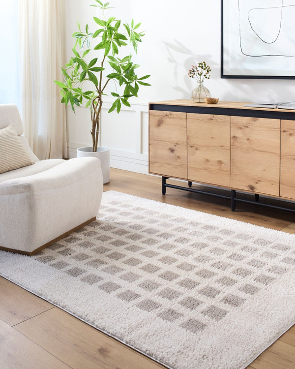 Livabliss Fossay Art Deco Shag Rug Turkish Woven Polyester High Pile Bedroom Accent Light Beige, Me 2' x 2'11" FSG2322-2211