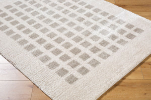 Livabliss Fossay Art Deco Shag Rug Turkish Woven Polyester High Pile Bedroom Accent Light Beige, Me 2' x 2'11" FSG2322-2211