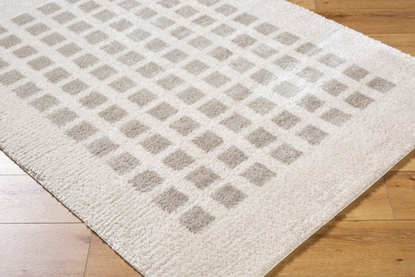 Livabliss Fossay Art Deco Shag Rug Turkish Woven Polyester High Pile Bedroom Accent Light Beige, Me 2' x 2'11" FSG2322-2211
