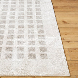 Livabliss Fossay Art Deco Shag Rug Turkish Woven Polyester High Pile Bedroom Accent Light Beige, Me 2' x 2'11" FSG2322-2211