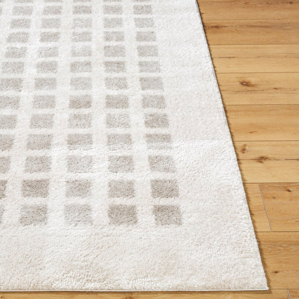 Livabliss Fossay Art Deco Shag Rug Turkish Woven Polyester High Pile Bedroom Accent Light Beige, Me 2' x 2'11" FSG2322-2211