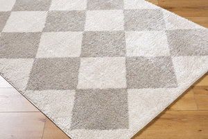 Livabliss Fossay Art Deco High Pile Shag Rug Soft Polyester Entryway Accent Machine Woven Turkey Light Beige, Me 2' x 2'11" FSG2327-2211