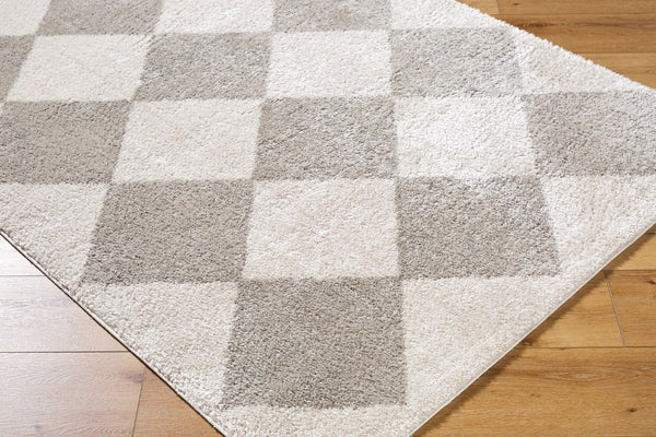 Livabliss Fossay Art Deco High Pile Shag Rug Soft Polyester Entryway Accent Machine Woven Turkey Light Beige, Me 2' x 2'11" FSG2327-2211