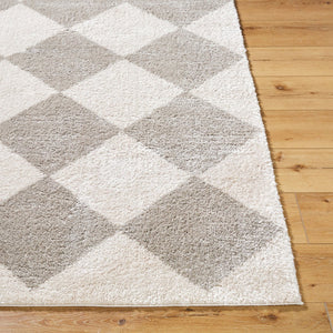 Livabliss Fossay Art Deco High Pile Shag Rug Soft Polyester Entryway Accent Machine Woven Turkey Light Beige, Me 2' x 2'11" FSG2327-2211