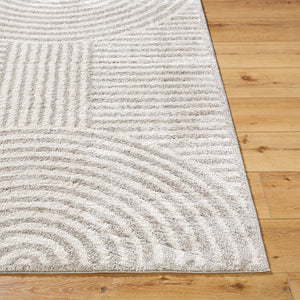Livabliss Fossay High Pile Shag Area Rug Soft Polyester Plush Accent for Bedroom or Entryway Light Beige, Me 7'10" x 10' FSG2335-71010