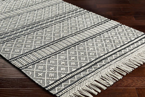 Livabliss Farmhouse Wool Cotton Flatweave Accent Rug with Tassel Fringe Bohemian Entryway Decor Black, White 2' x 3' FTS2300-23