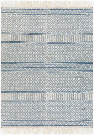Surya Farmhouse Tassels 2' X 3' Handwoven Rug - Unique Cottage Style With Textured Fringe & Easy Care Blue Wool,Cotton Fts2301-810
