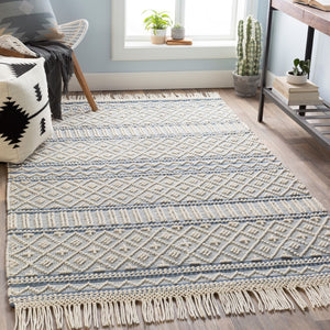 Surya Farmhouse Tassels 2' X 3' Handwoven Rug - Unique Cottage Style With Textured Fringe & Easy Care Blue Wool,Cotton Fts2301-35