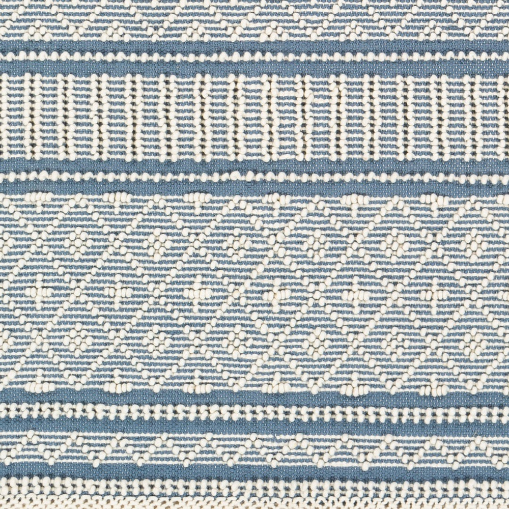 Surya Farmhouse Tassels 2' X 3' Handwoven Rug - Unique Cottage Style With Textured Fringe & Easy Care Blue Wool,Cotton Fts2301-268