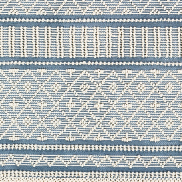 Surya Farmhouse Tassels 2' X 3' Handwoven Rug - Unique Cottage Style With Textured Fringe & Easy Care Blue Wool,Cotton Fts2301-35