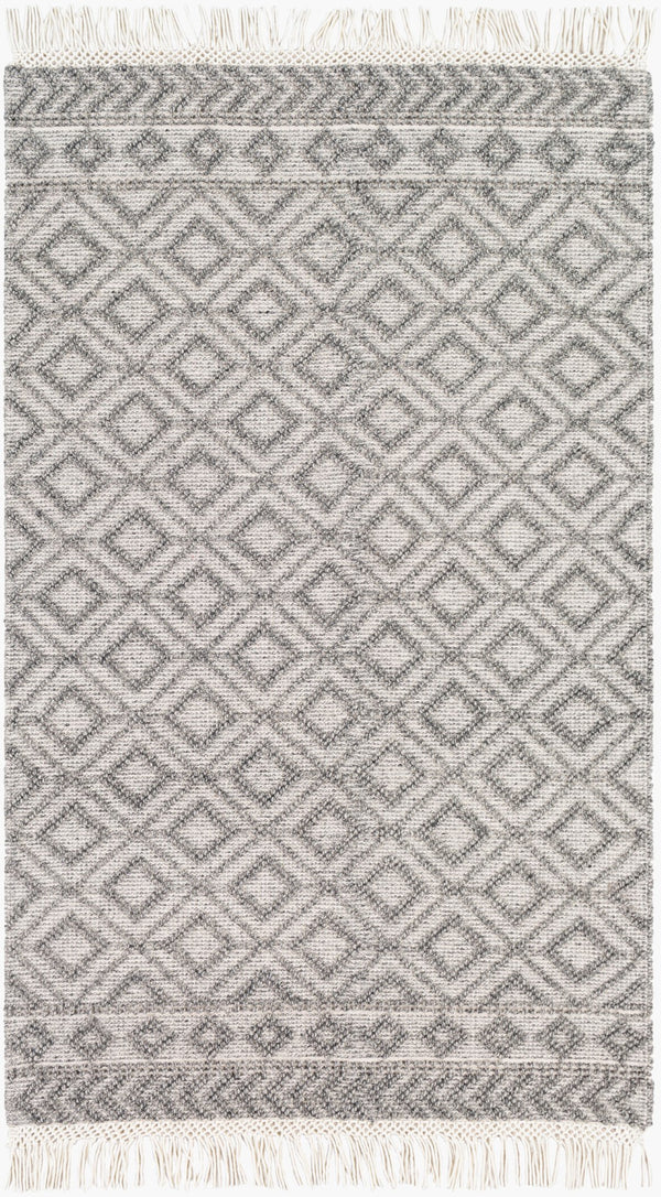 Surya Farmhouse Tassels 2' X 3' Handwoven Rug - Unique Cottage Style With Textured Fringe & Easy Care Black Wool,Cotton Fts2302-576