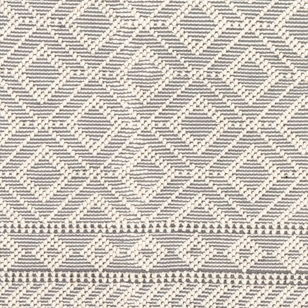 Surya Farmhouse Tassels 2' X 3' Handwoven Rug - Unique Cottage Style With Textured Fringe & Easy Care Gray Wool,Cotton Fts2303-268
