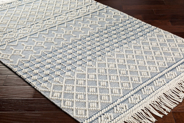 Surya Farmhouse Tassels 2' X 3' Handwoven Rug - Unique Cottage Style With Textured Fringe & Easy Care Blue Wool,Cotton Fts2304-23
