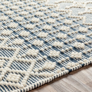 Surya Farmhouse Tassels 2' X 3' Handwoven Rug - Unique Cottage Style With Textured Fringe & Easy Care Blue Wool,Cotton Fts2304-23