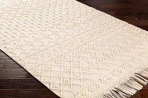 Livabliss Farmhouse Tassels Hand Woven Wool Cotton Runner Rug for Hallways and Entryways White, Beige 2'6" x 8' FTS2305-268