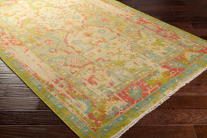 Surya Festival Handcrafted 2' X 3' Traditional Wool Rug With Fringe - Timeless Elegance For Any Space Olive Nz Wool Fvl1000-69