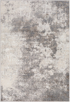 Livabliss Firenze Machine Woven Polyester Accent Rug with Lustrous Sheen for Entryways and Bohemian Layering Charcoal, Gray 2'7" x 3'10" FZE2300-3146