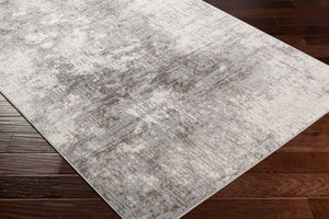 Livabliss Firenze Machine Woven Polyester Accent Rug with Lustrous Sheen for Entryways and Bohemian Layering Charcoal, Gray 2'7" x 3'10" FZE2300-3146
